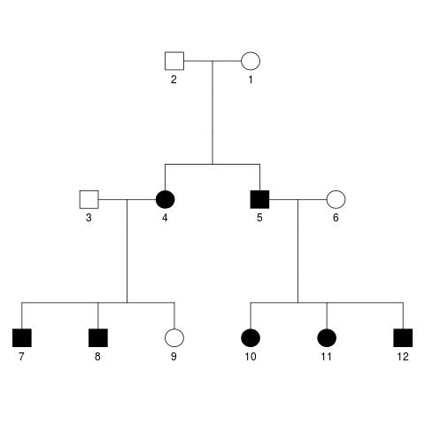 Image of pedigree